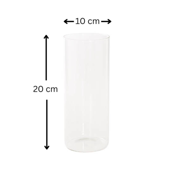 Glass vase for pine cone decoration