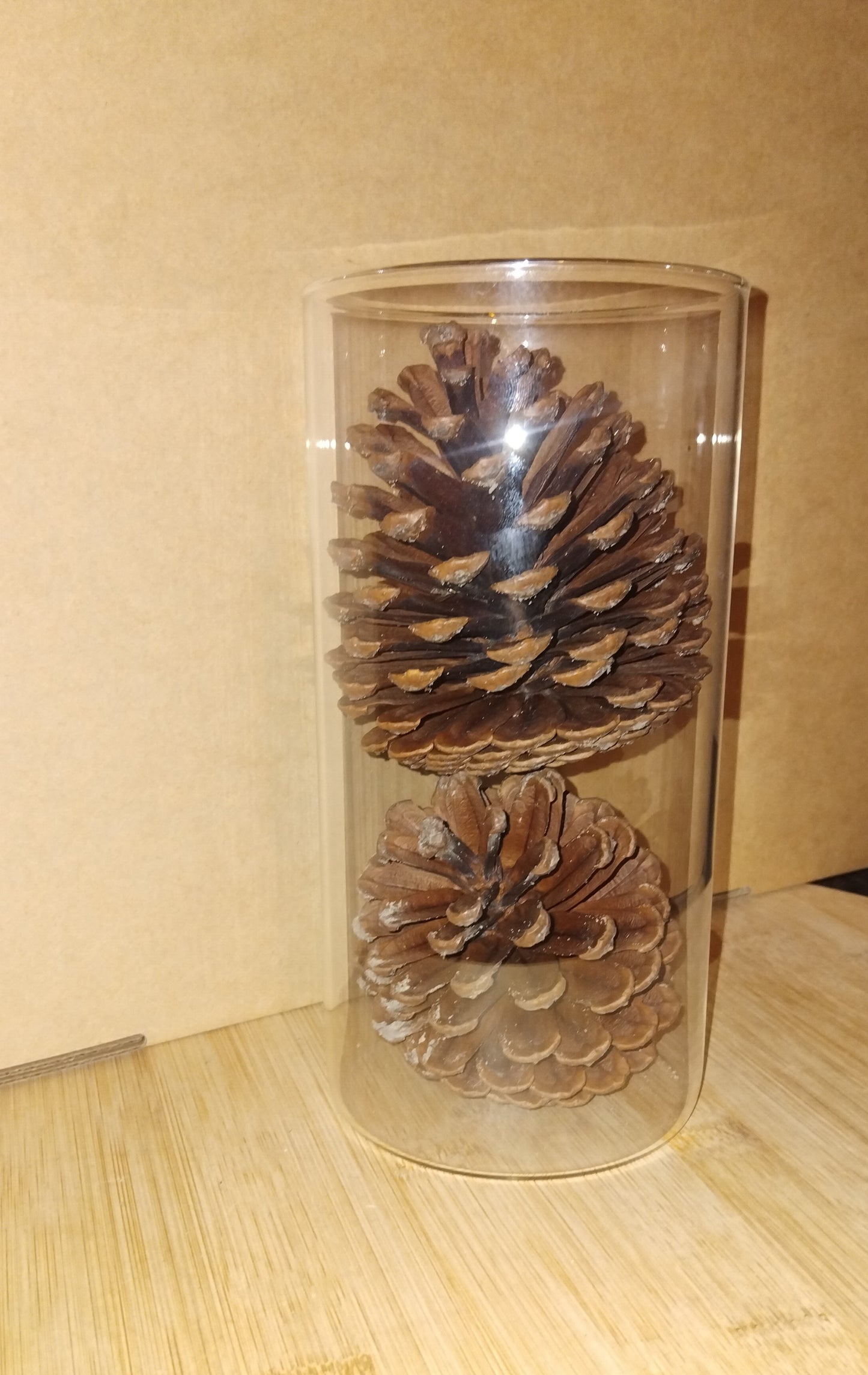 Glass vase for pine cone decoration